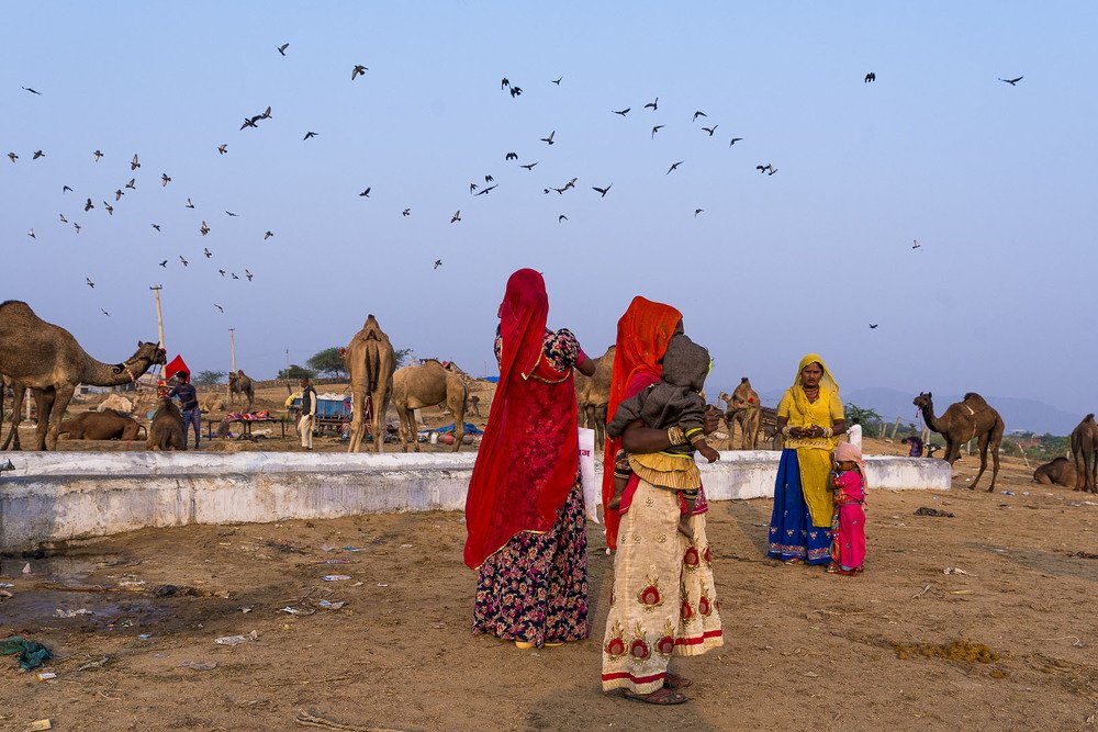 Photograph by Abdul hameed Thahir