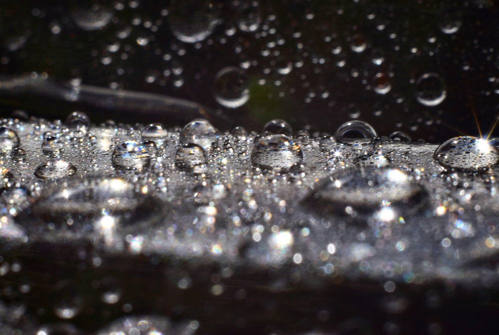 Photograph by Ирина Курицына