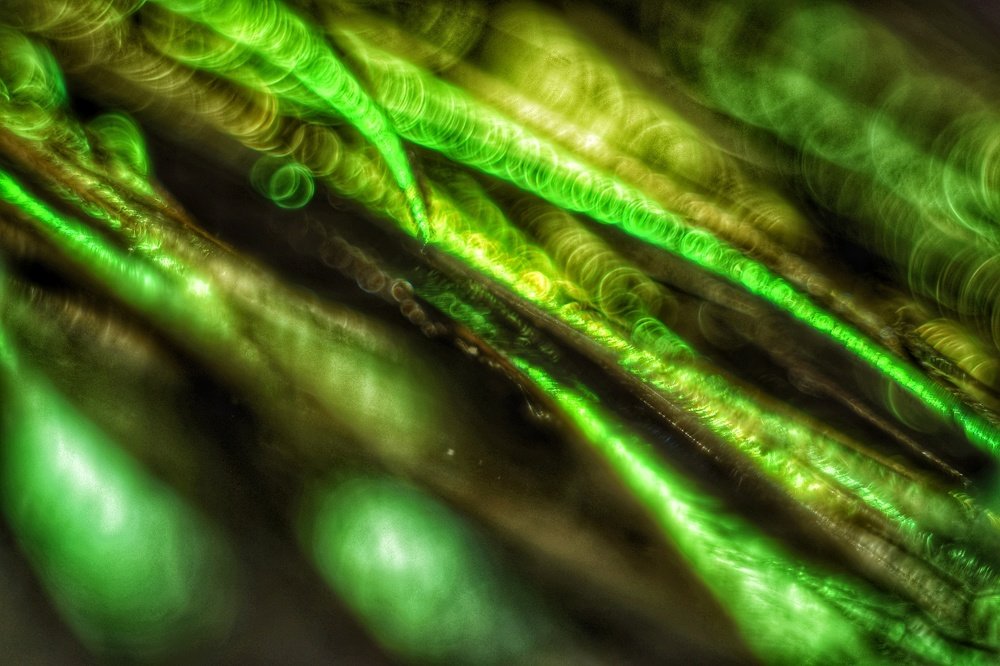 Photograph by Ирина Курицына