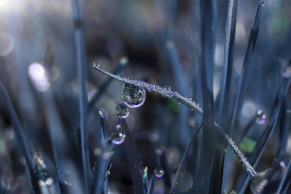 Photograph by Владислав Бичук