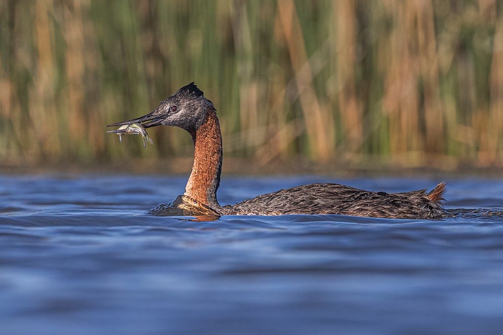 Photograph by Eduardo Di Fiore