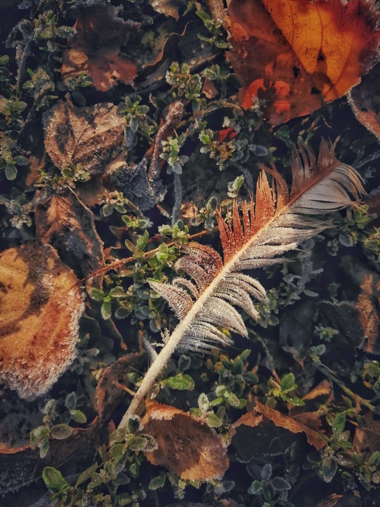 Photograph by Марина Згоник