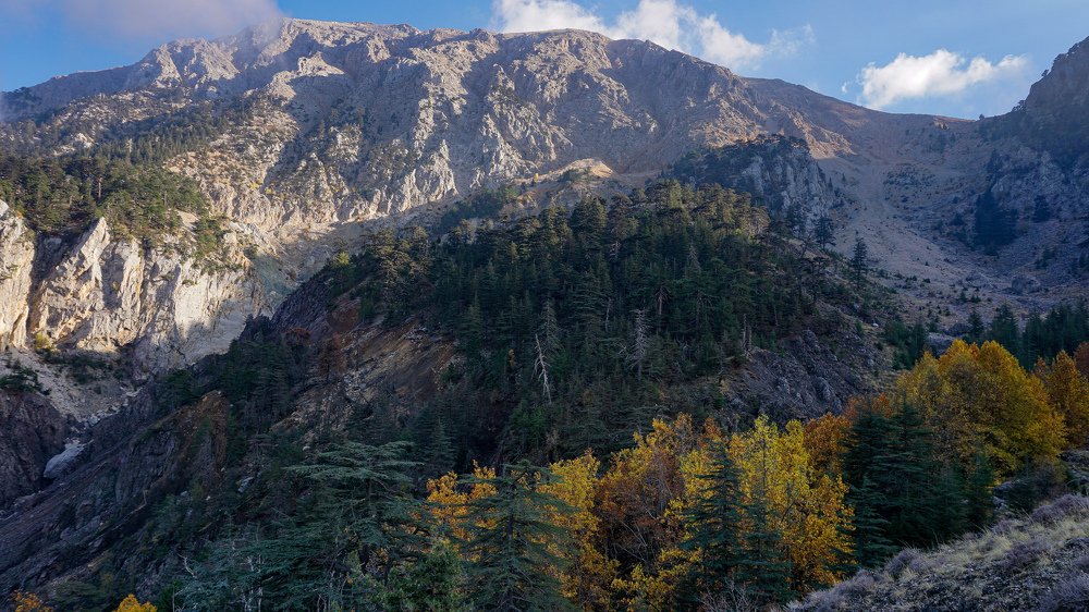 Photograph by Ольга Юрина