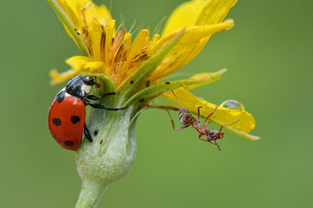 Фотография автора Билан Виктория