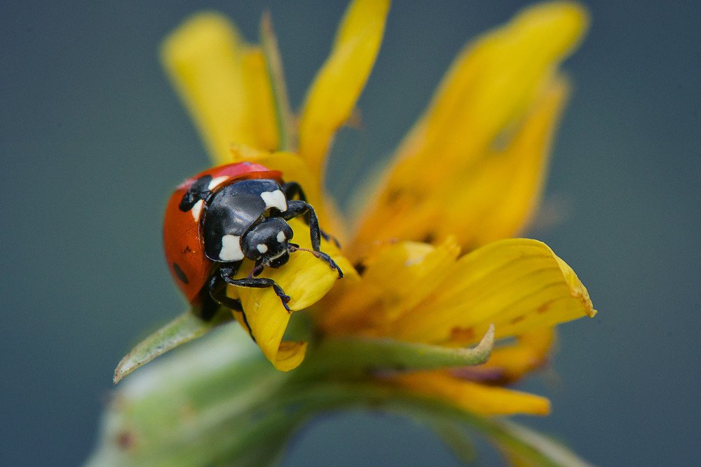 Фотография автора Билан Виктория