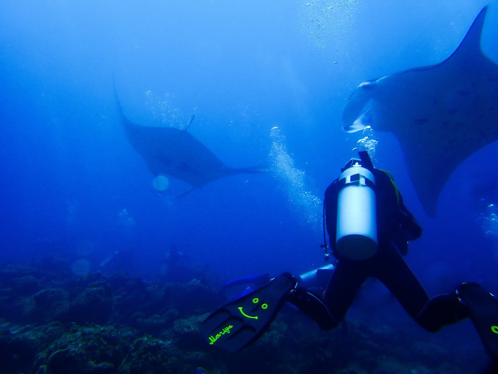 Photograph by Александра