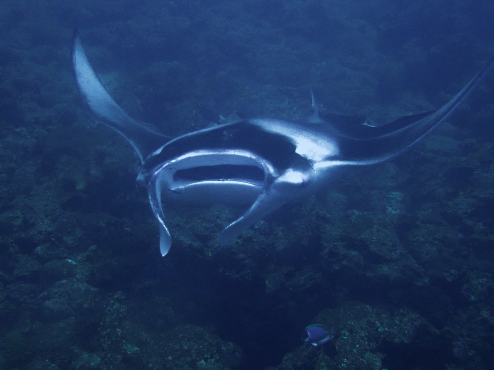 Photograph by Александра