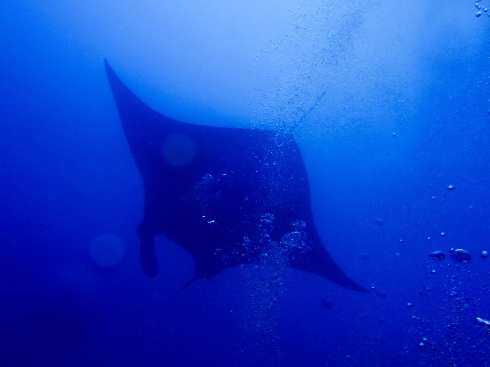 Photograph by Александра