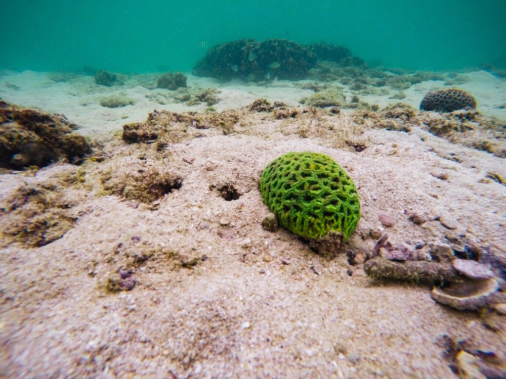 Photograph by Farshad Yazdankhah