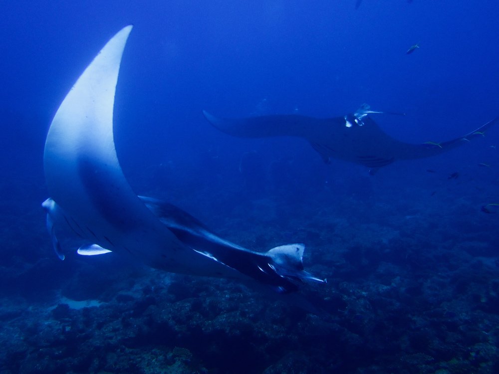 Photograph by Александра