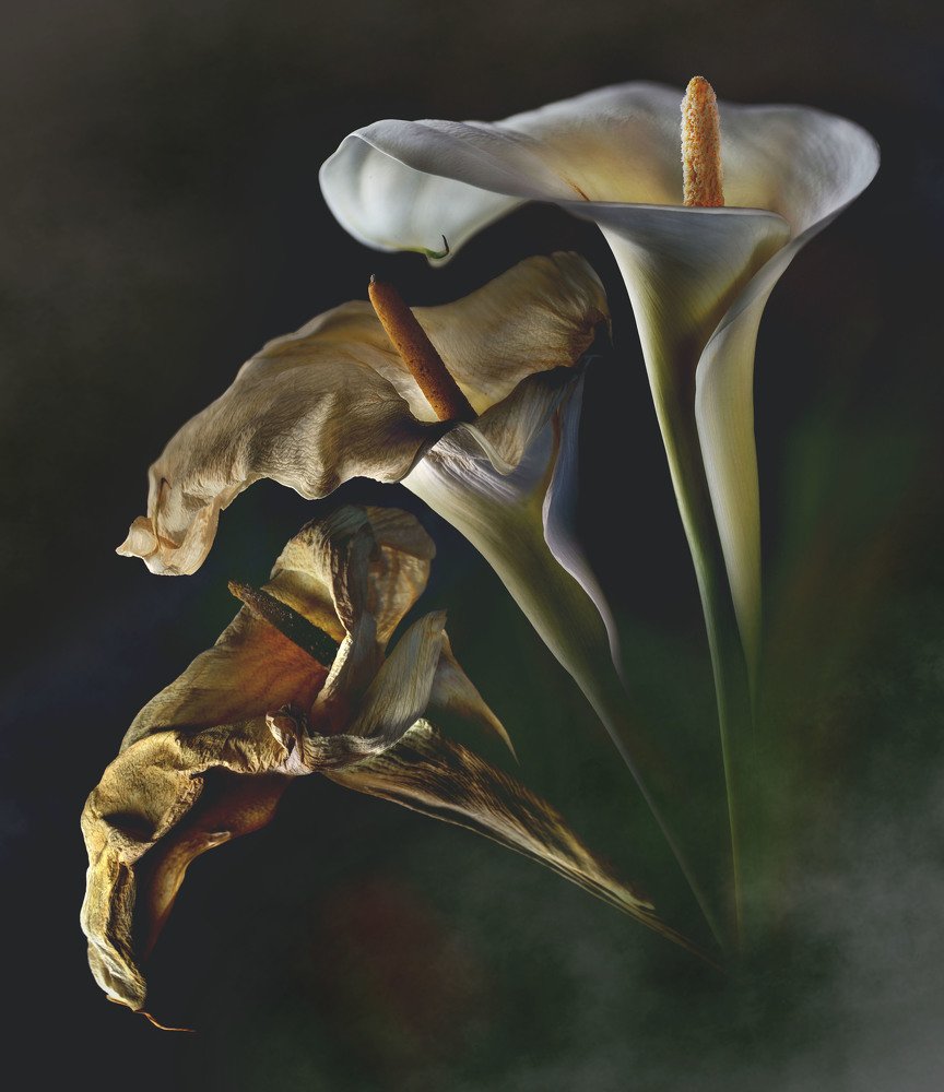 Photograph by Eduardo Modolo