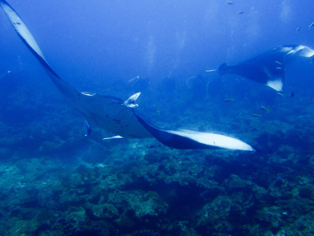 Photograph by Александра