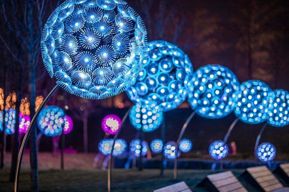 Фотография автора Александр Нестеренко