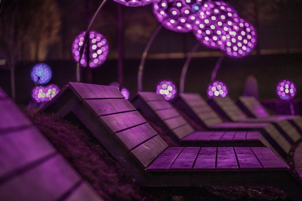 Фотография автора Александр Нестеренко