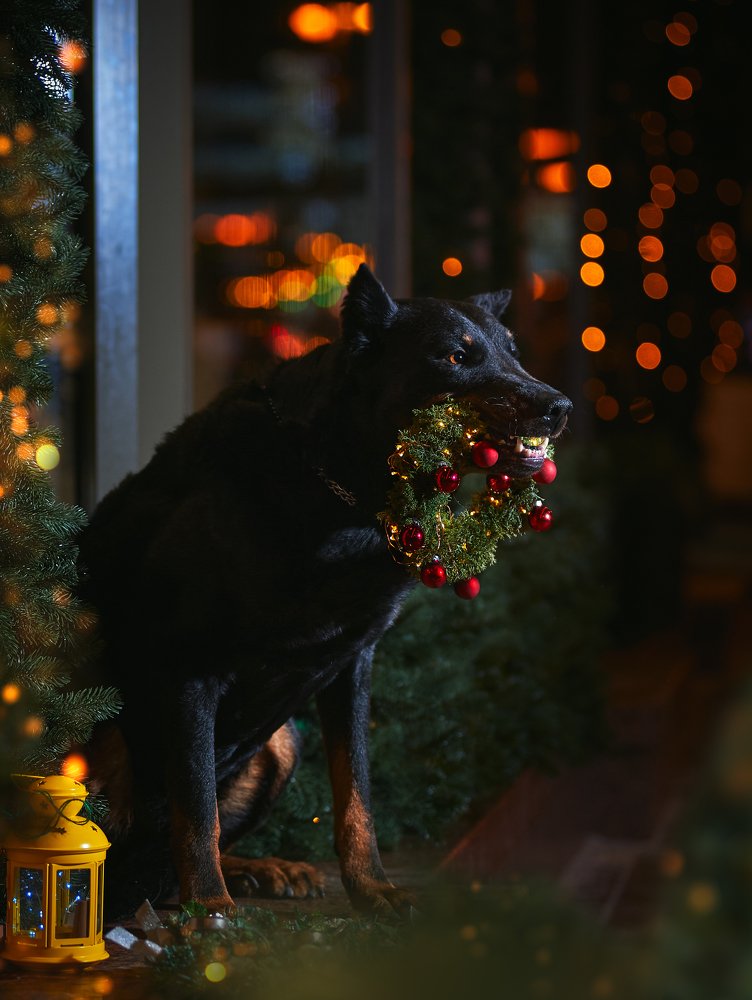 Фотография автора Дарина Матасова