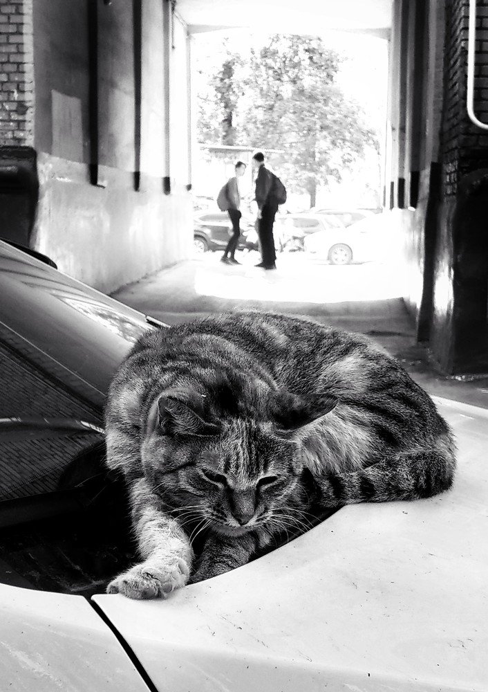 Photograph by Елена Ржевская