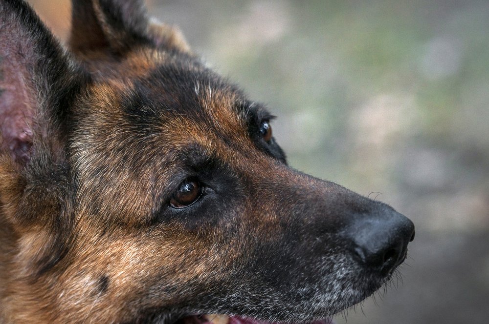 Photograph by Виола Поликарпова