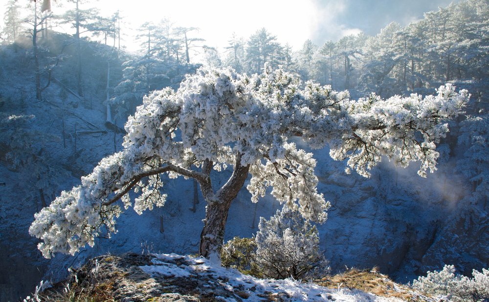 Photograph by Александр Ковлагин