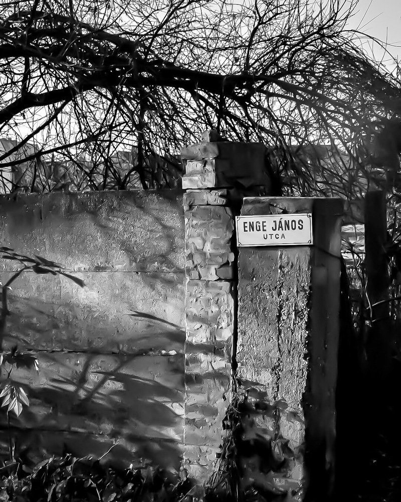 Photograph by Fatima Boros-Biro