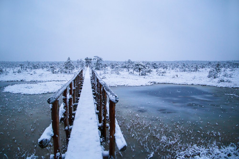 Photograph by Yulia Nikolaeva