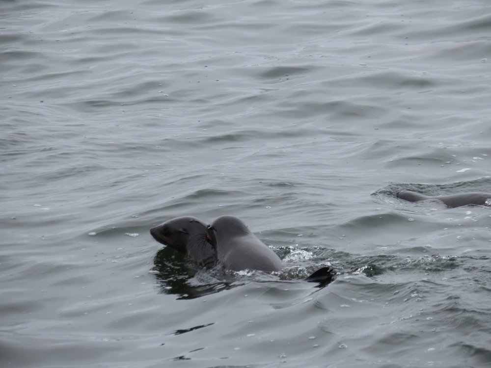 Photograph by Марина Осипова