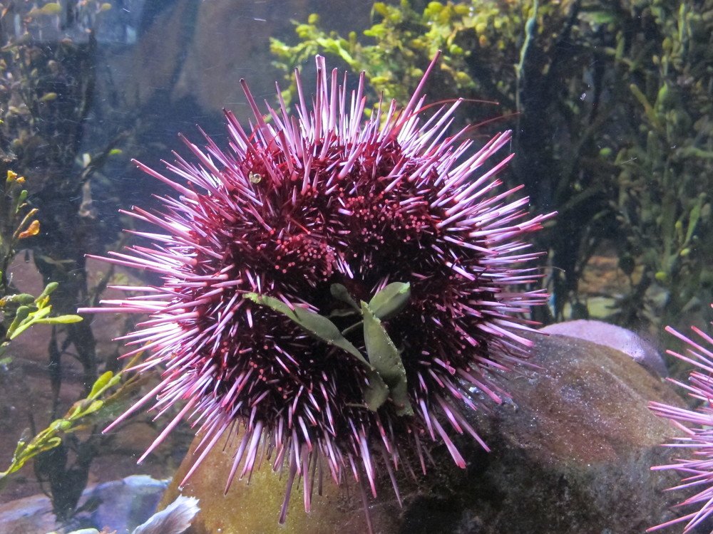 Photograph by Марина Осипова