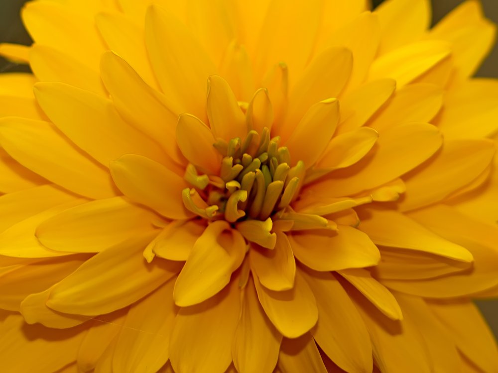 Photograph by Csótai Katalin