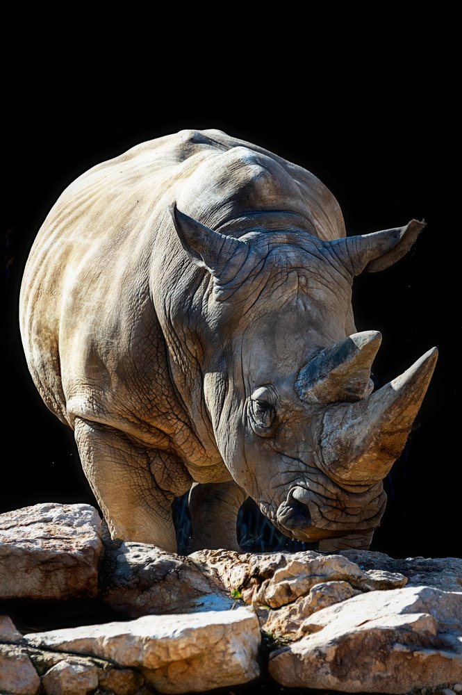 Photograph by David Lerer