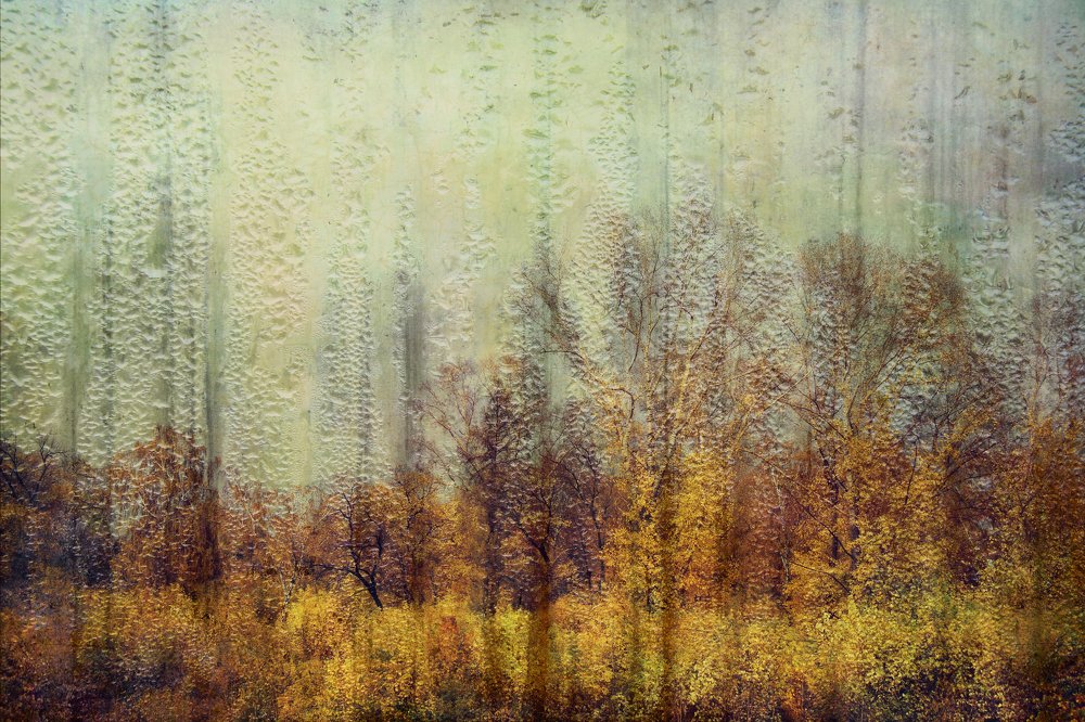 Photograph by Гагик Мхитарян