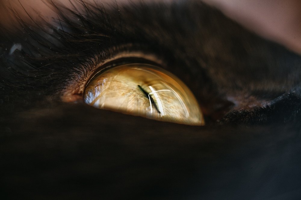 Фотография автора Евгений Радиборов