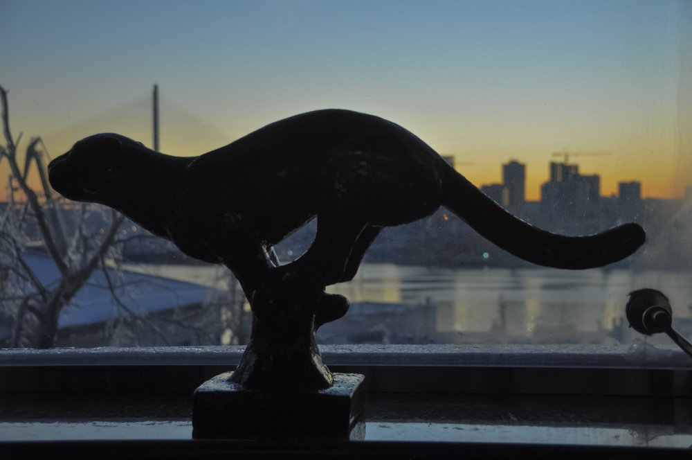 Photograph by Дмитрий Кустов