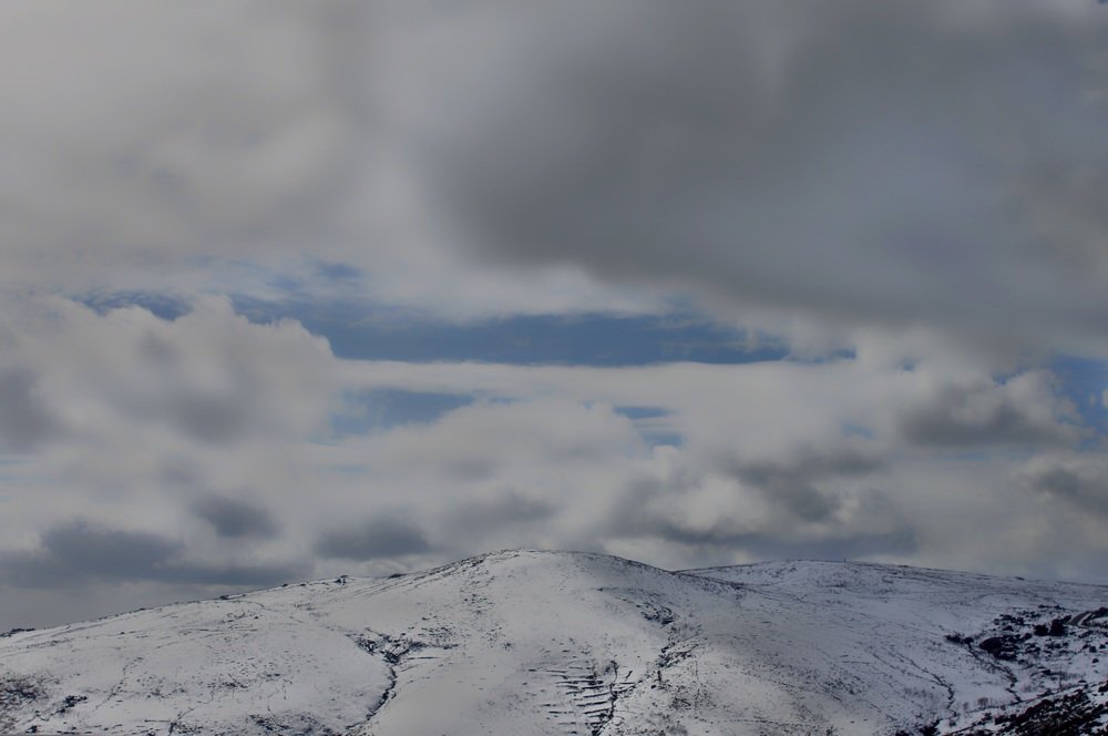 Photograph by Francisco Ferreira