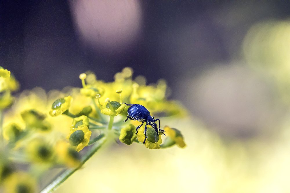 Photograph by Владислав Бичук