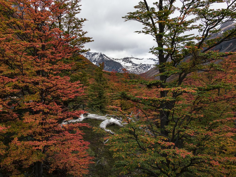 SENDERO BASE DE LAS TORRES