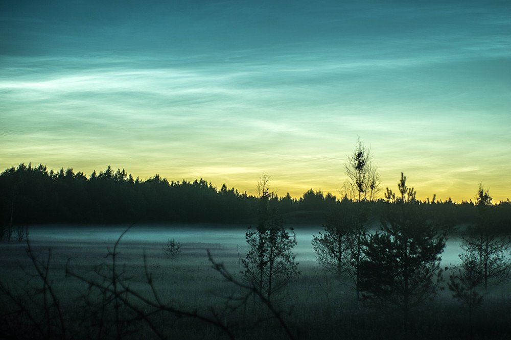 Photograph by Сергей