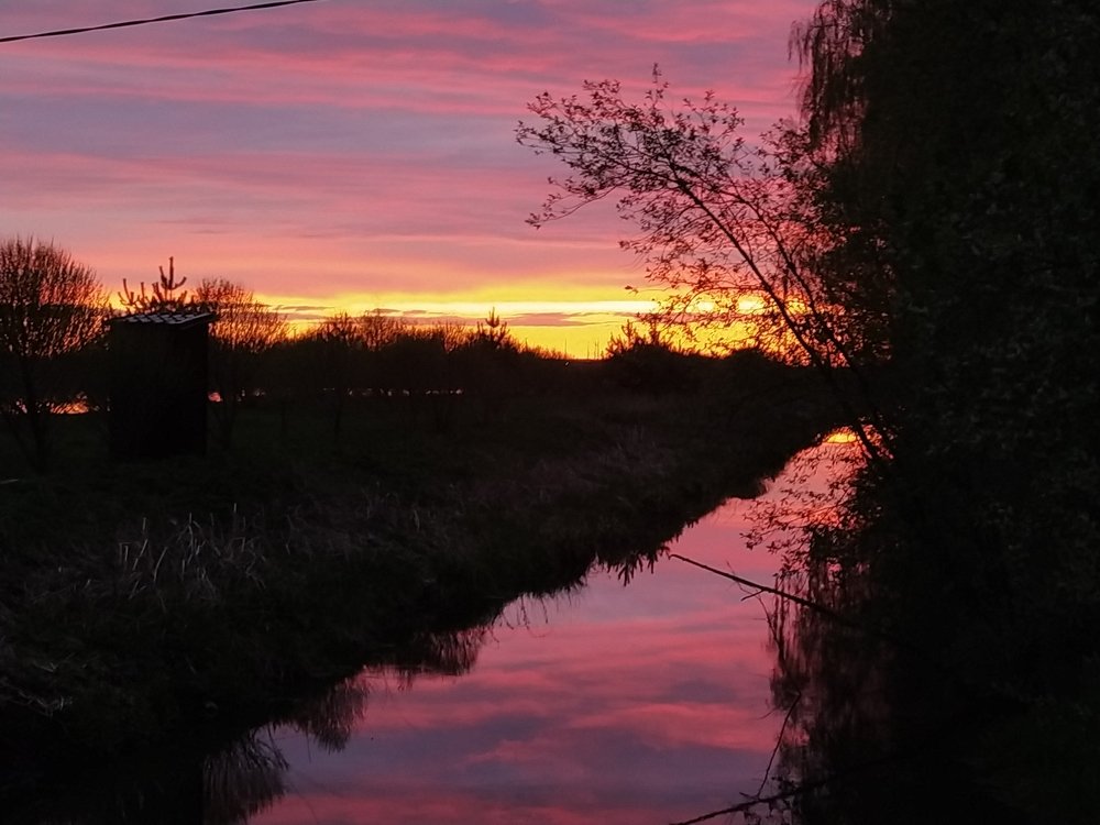 Photograph by Антонина Копытина