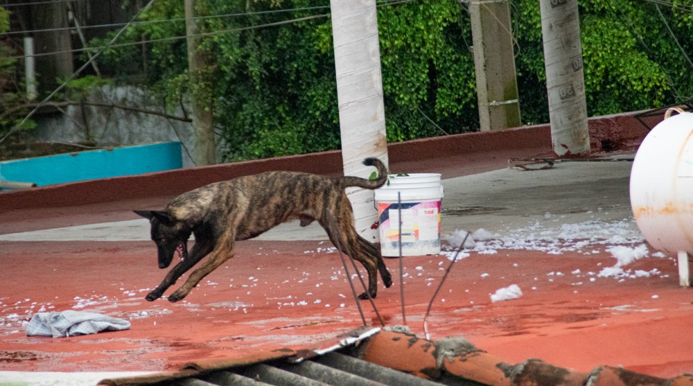 Photograph by Juan Carlos Pascual López