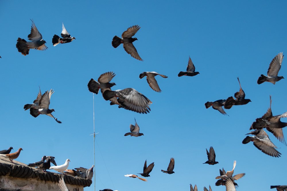 Photograph by Juan Carlos Pascual López