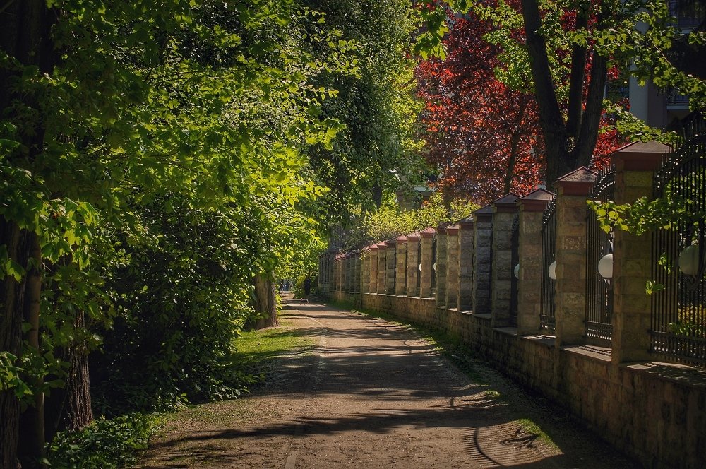 Photograph by Лев Останин