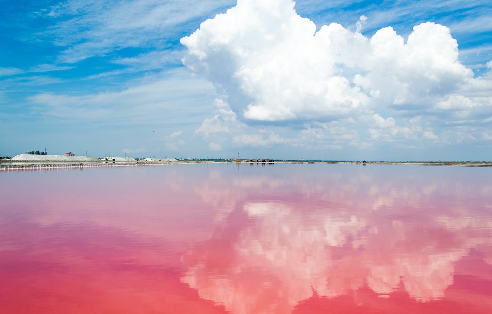 озеро Сасык- Сивашь ( Розовое озеро )