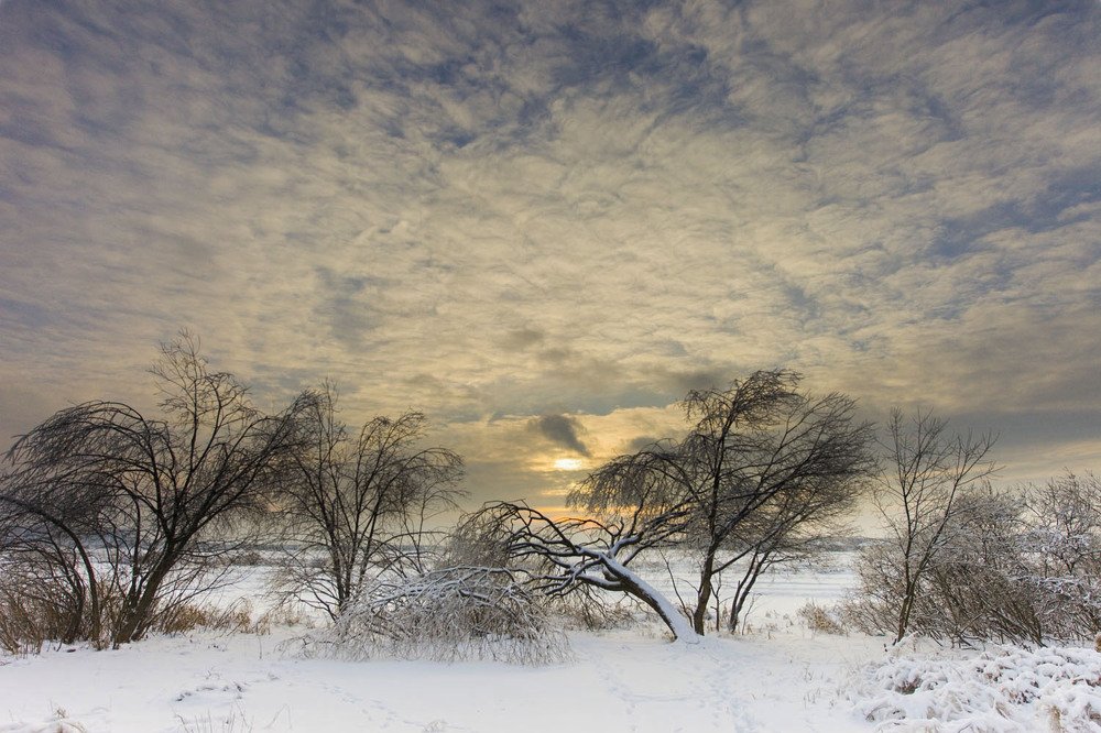 Photograph by Владимир Дерябин
