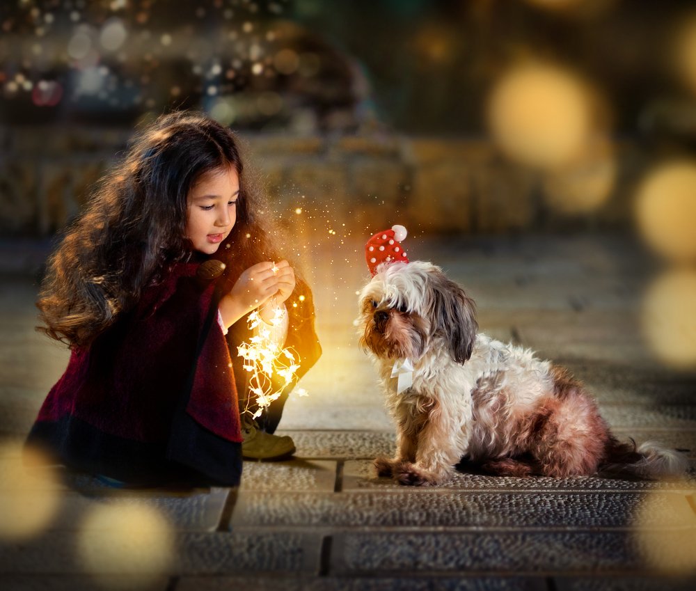 Photograph by ксения краевски