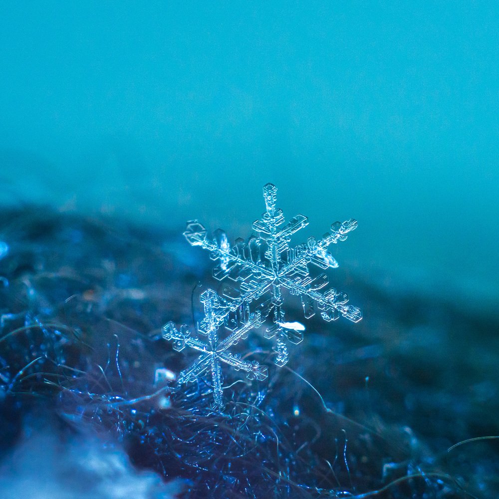 Photograph by Жданов Дмитрий