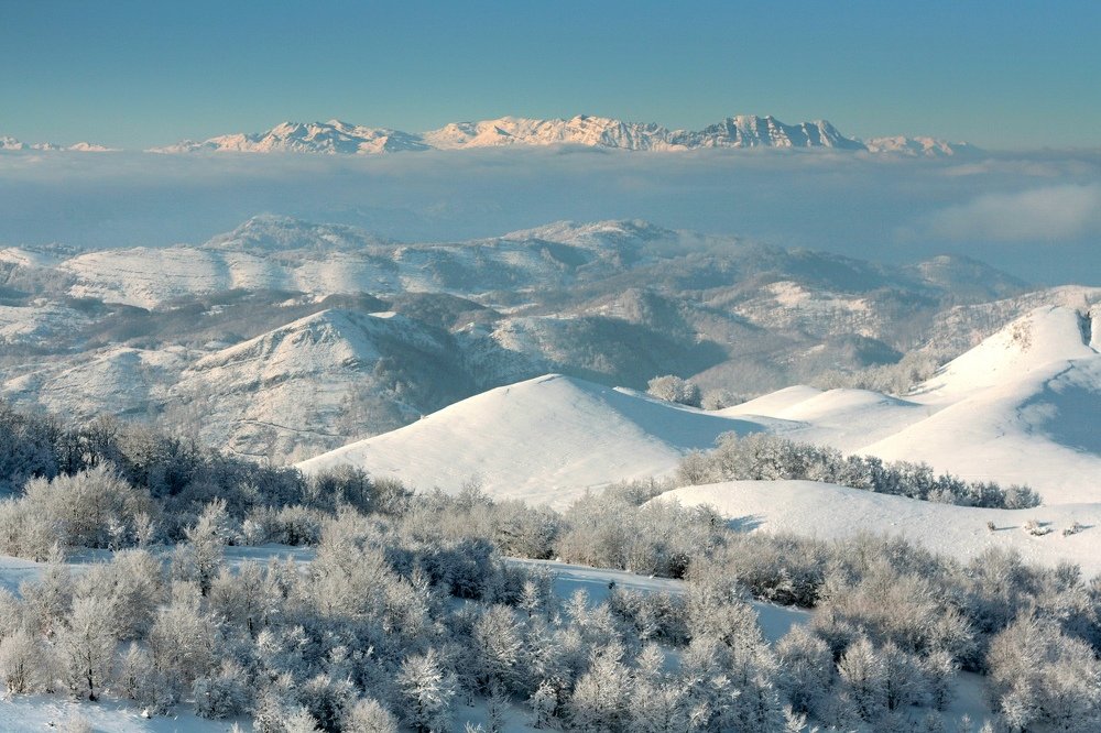 Photograph by Ксения Лаевская