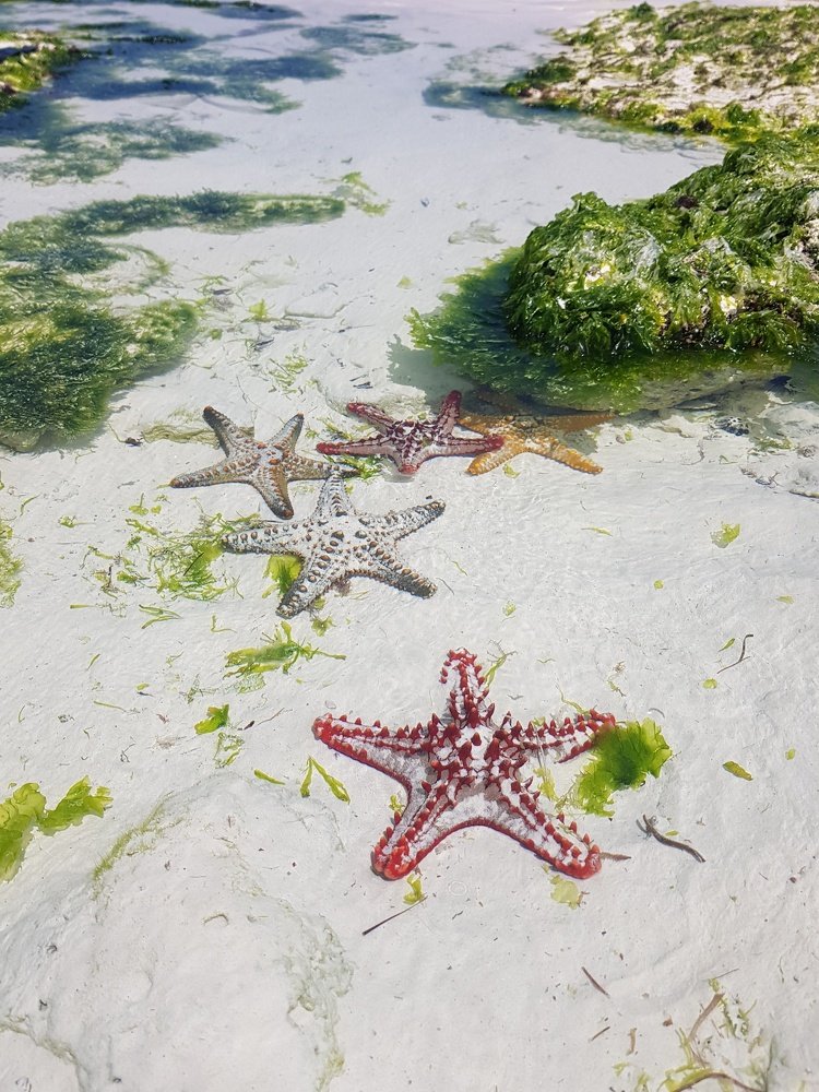 Photograph by Екатерина Вивюрская