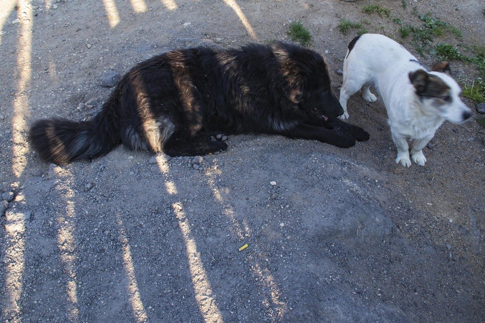 Photograph by миша