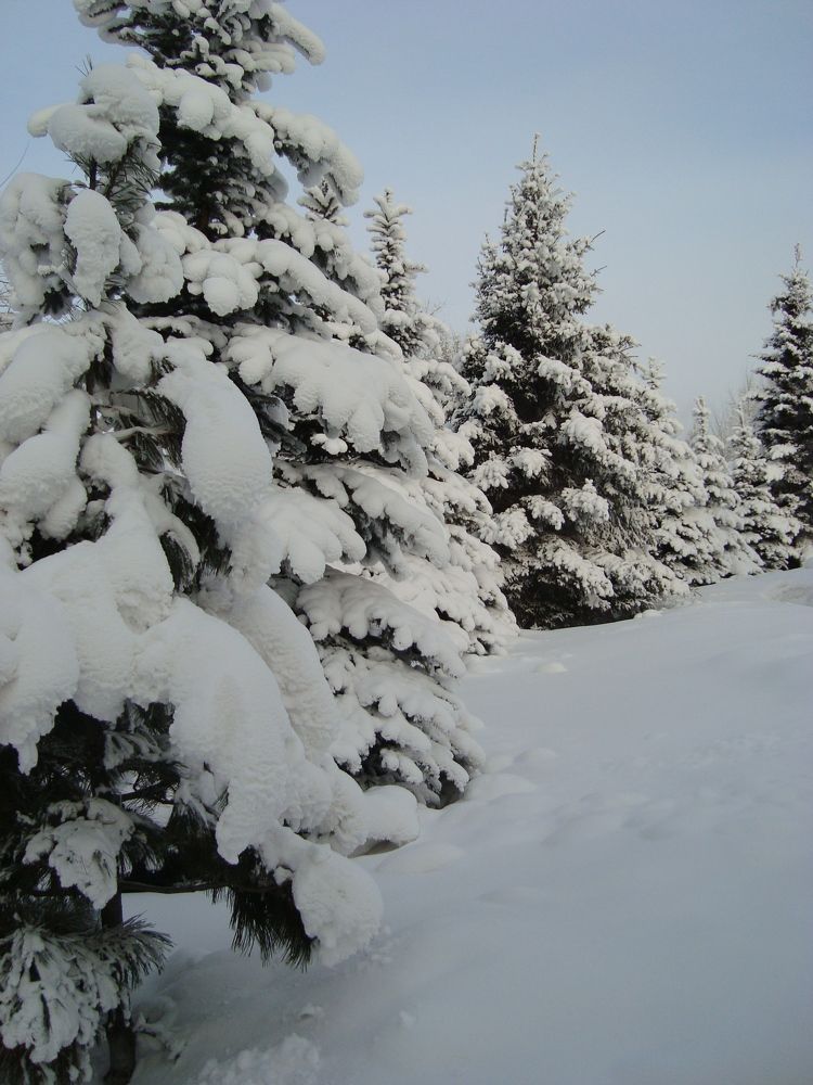 Photograph by Наталья Скиданова