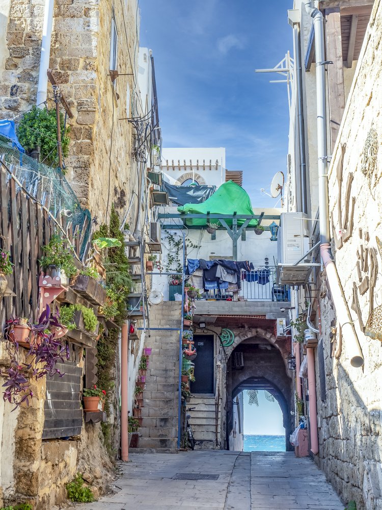 Photograph by Semion Ribinik