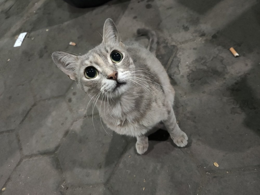 Photograph by OMAR Mourtagy Helal