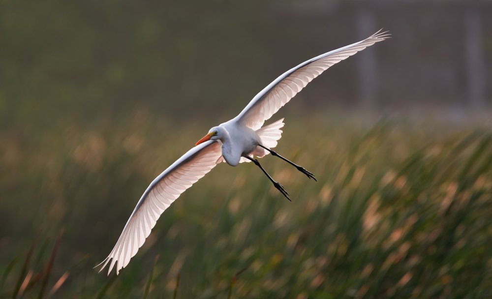 Photograph by RAJA G N